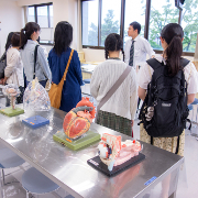 東北福祉大学の説明会