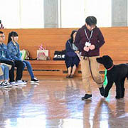 ヤマザキ動物看護大学の説明会