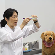 ヤマザキ動物看護大学の説明会