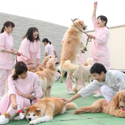 専門学校 東北動物看護学院