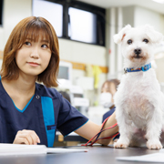 横浜動物専門学校の説明会