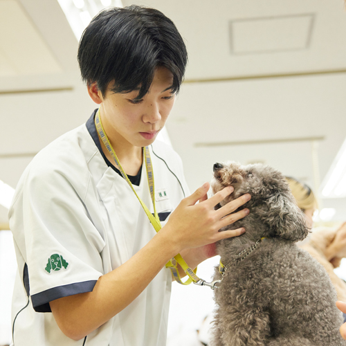 国際動物専門学校1