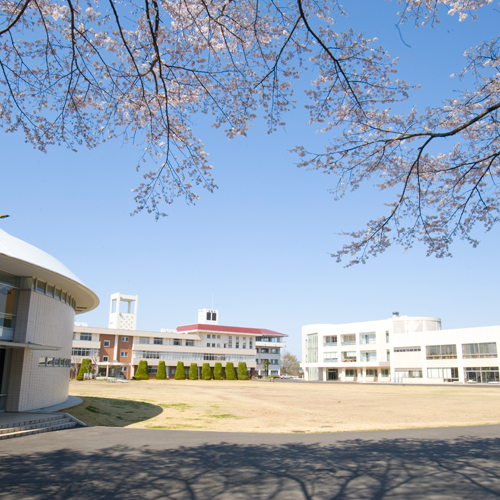 宇都宮共和大学