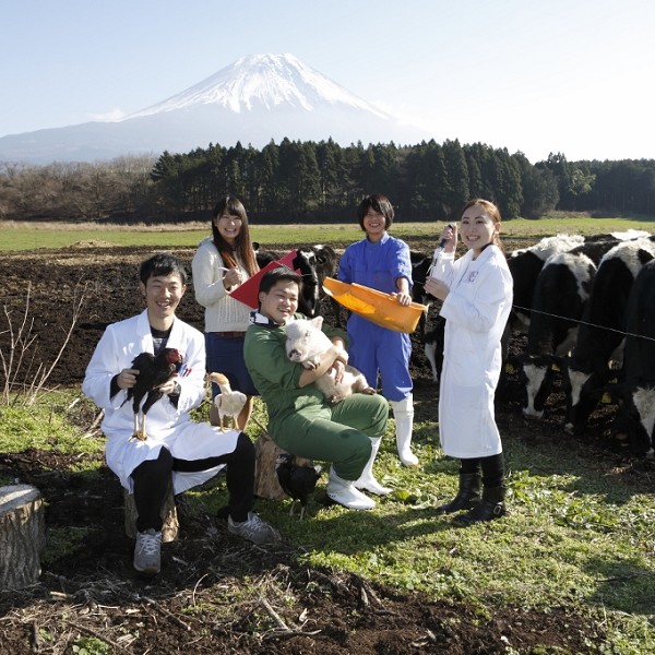 日本獣医生命科学大学4