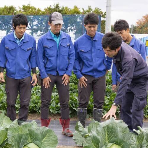 タキイ研究農場付属 園芸専門学校2