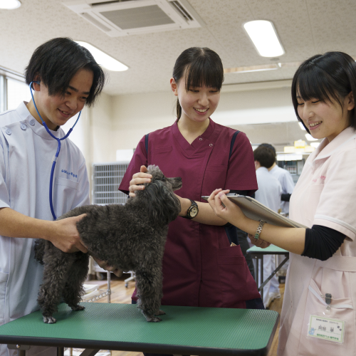 仙台総合ペット専門学校2