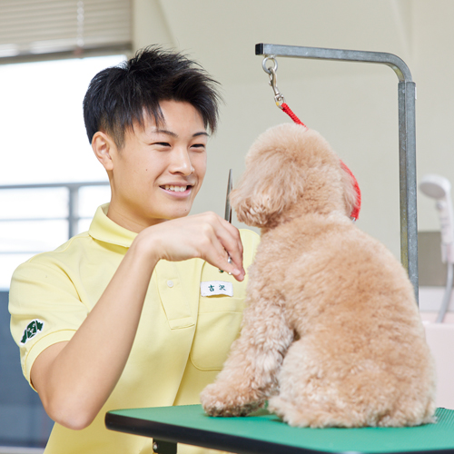 大宮国際動物専門学校4