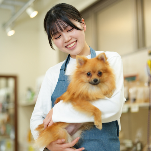 高崎動物専門学校2