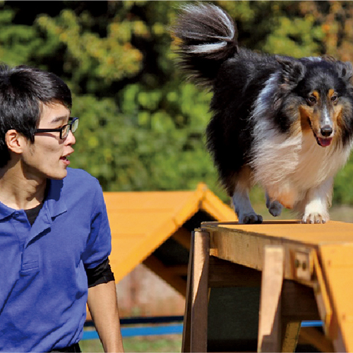 国際ペット総合専門学校2