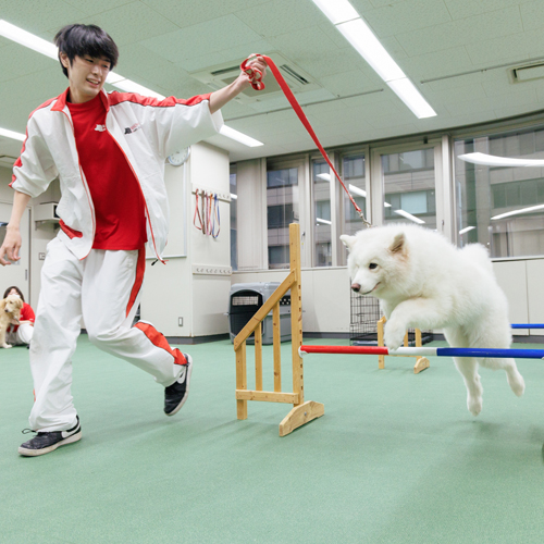 専門学校日本動物２１