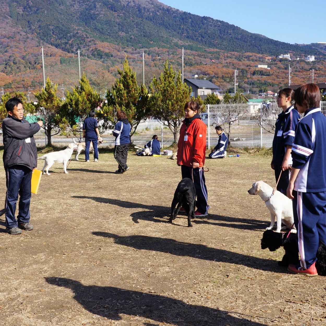 つくば国際ペット専門学校4