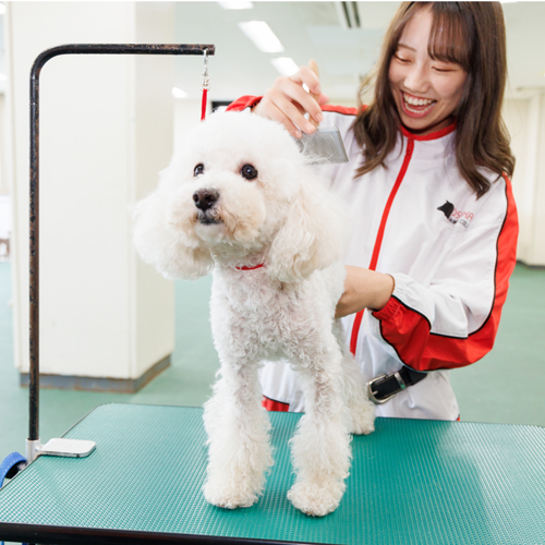 大阪動物専門学校天王寺校2