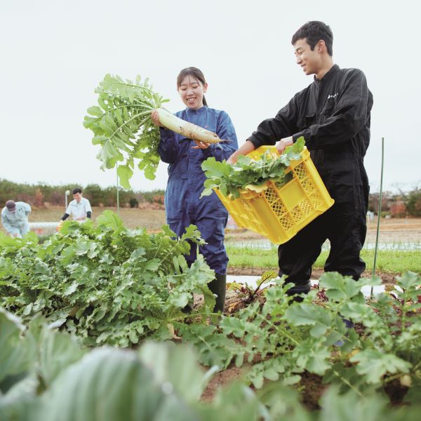 新潟食料農業大学2