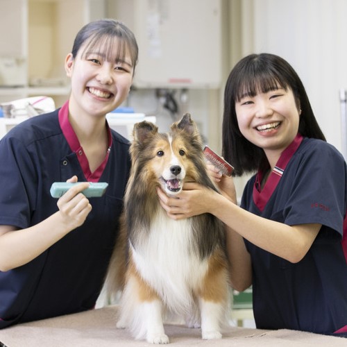 札幌デジタル＆どうぶつ・医療・観光専門学校2