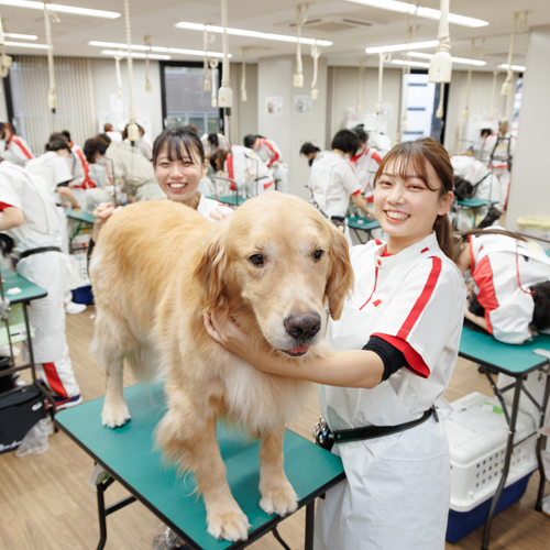 横浜動物専門学校2