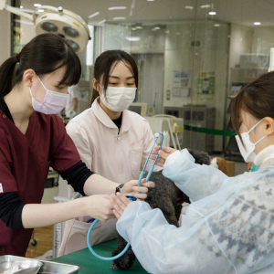 仙台総合ペット専門学校