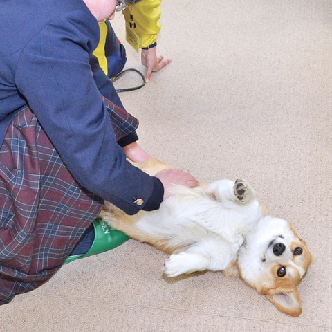 岡山理科大学専門学校