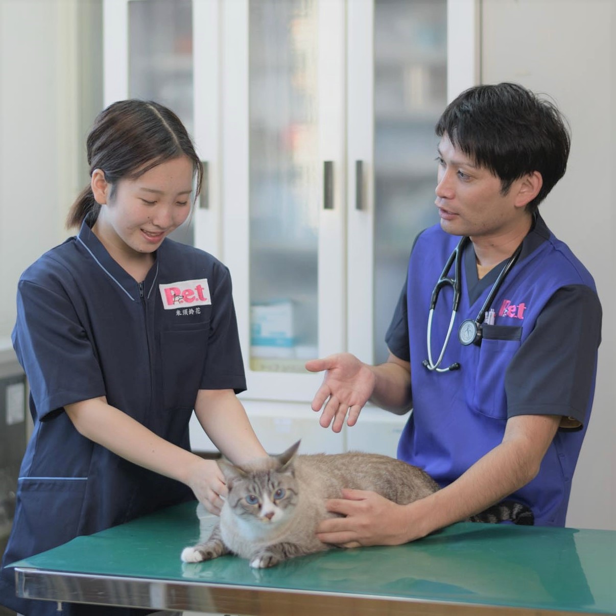 沖縄ペットワールド専門学校