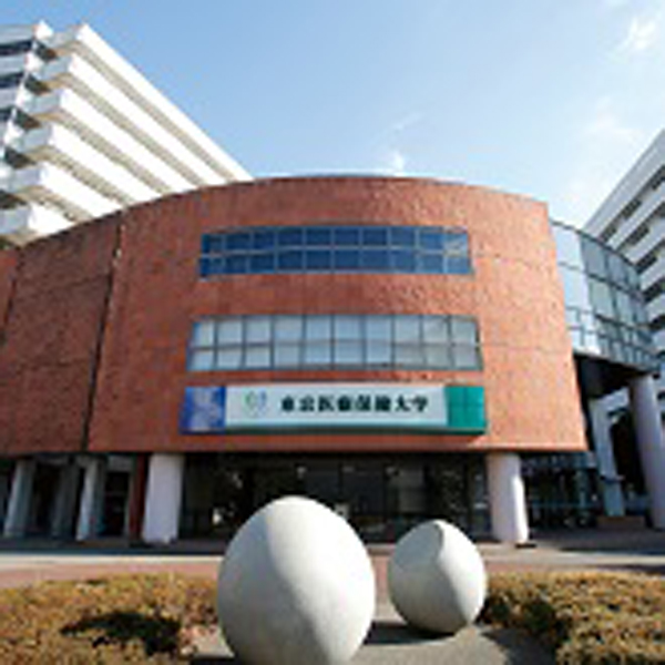 東京医療保健大学