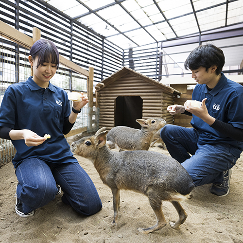 大阪ＥＣＯ動物海洋専門学校