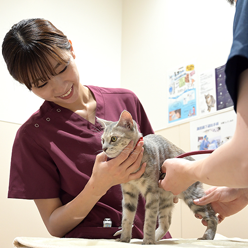 大阪ＥＣＯ動物海洋専門学校