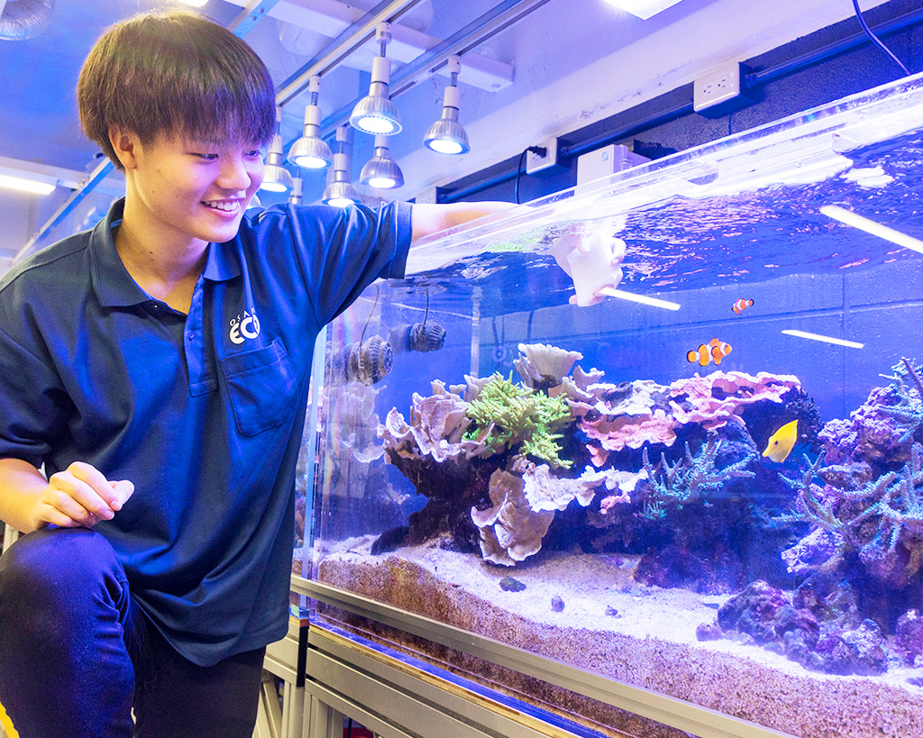 大阪ＥＣＯ動物海洋専門学校