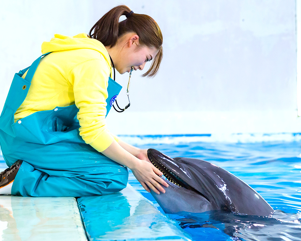 大阪ＥＣＯ動物海洋専門学校