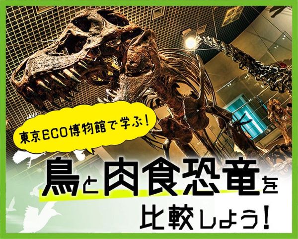 ＴＣＡ東京ＥＣＯ動物海洋専門学校