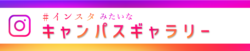 インスタみたいなキャンパスギャラリー