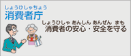 内閣府 消費者庁（国家公務員）