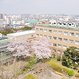 千葉大学