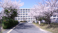 玉川高等学校