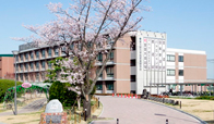 東大阪大学柏原高等学校