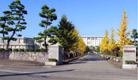 小杉高等学校