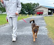 岐阜県　大垣養老高校　犬クラブのみなさん4