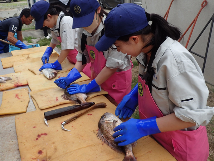 香川県　多度津高校　海洋生産科食品科学コースのみなさん6