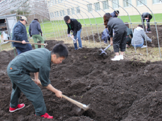 北海道文教大学の部活