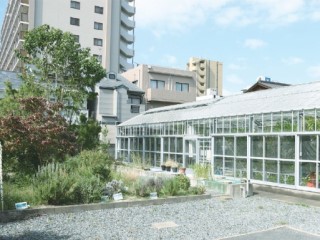 【薬用植物園】教育と研究を目的として、薬用植物園を設けています。古くから使われてきた世界各国の薬草や医薬品原料など約100種類の植物を栽培しています。