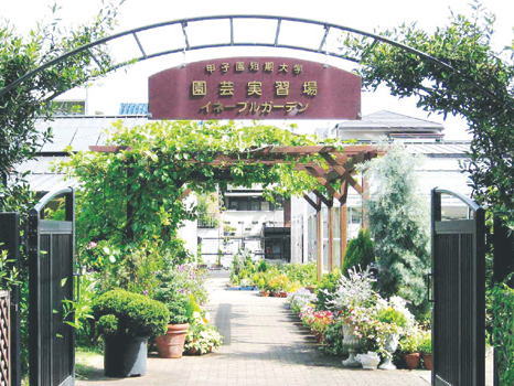 甲子園短期大学