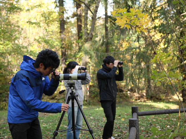 東海大学のcampusgallery