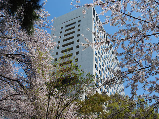 上智大学の施設・環境