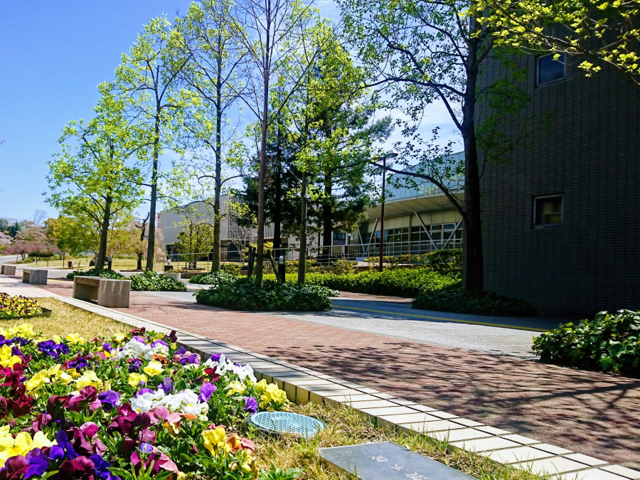 四天王寺大学短期大学部の施設・環境