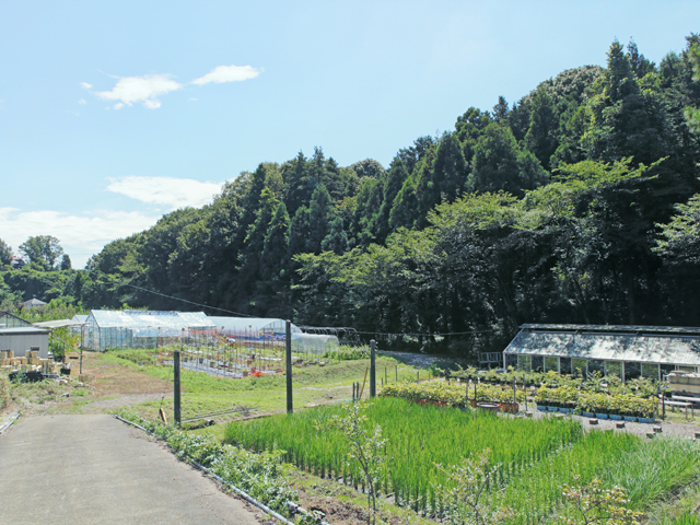 【学内農場】農場実習での野菜、草花、果樹、水稲などさまざまな農場実験や実験材料の栽培を行っています。また、卒業研究の場としても利用されています