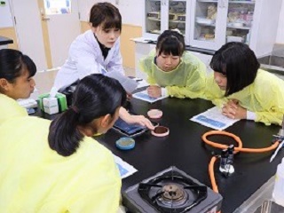 札幌保健医療大学のcampusgallery