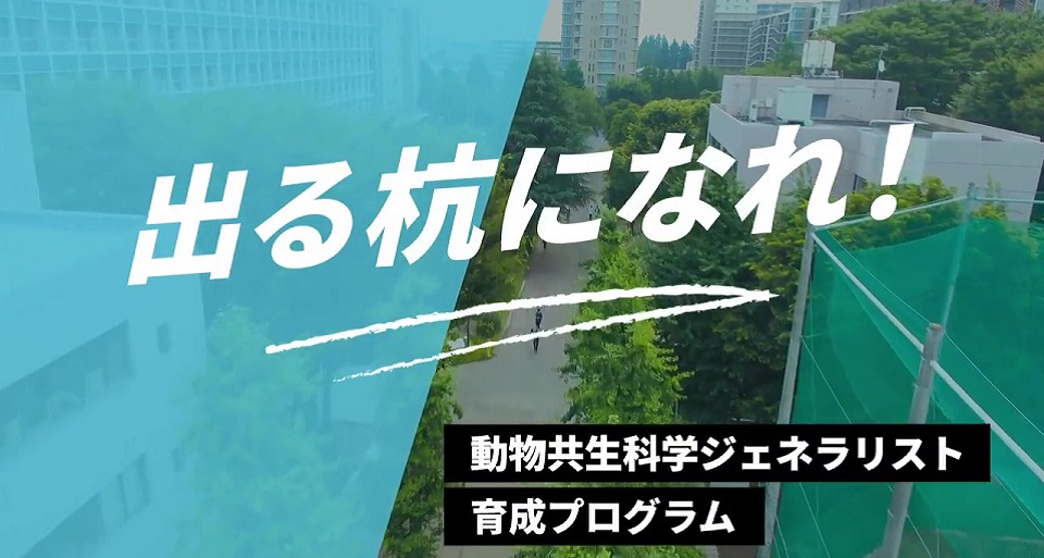 特色ある教育「出る杭プログラム」