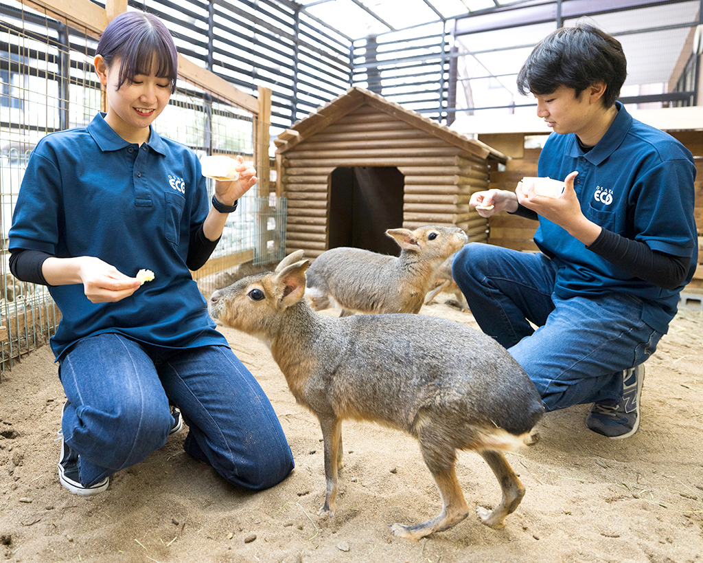 飼育員さんのお仕事体験