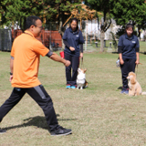 通信制ペット学科