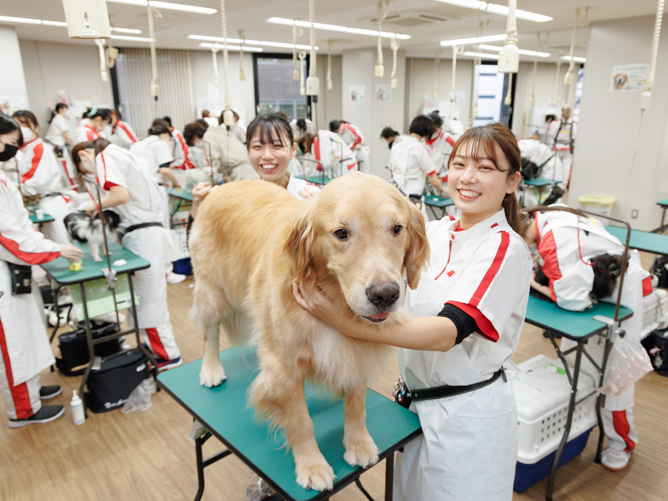 横浜動物専門学校