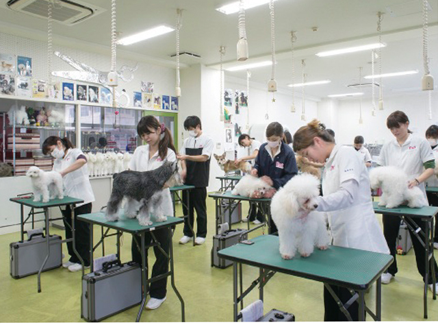 沖縄ペットワールド専門学校のオープンキャンパス