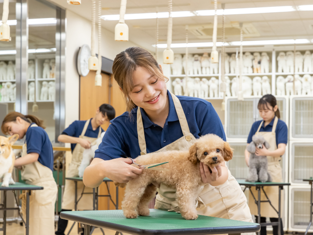 専門学校ルネサンス・ペット・アカデミーのオープンキャンパス